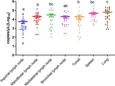 A suitable sampling strategy for the detection of African swine fever virus in living and deceased pigs in the field: a retrospective study